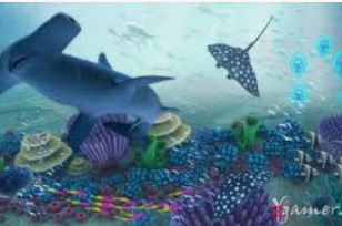 星空电竞app2024最新版